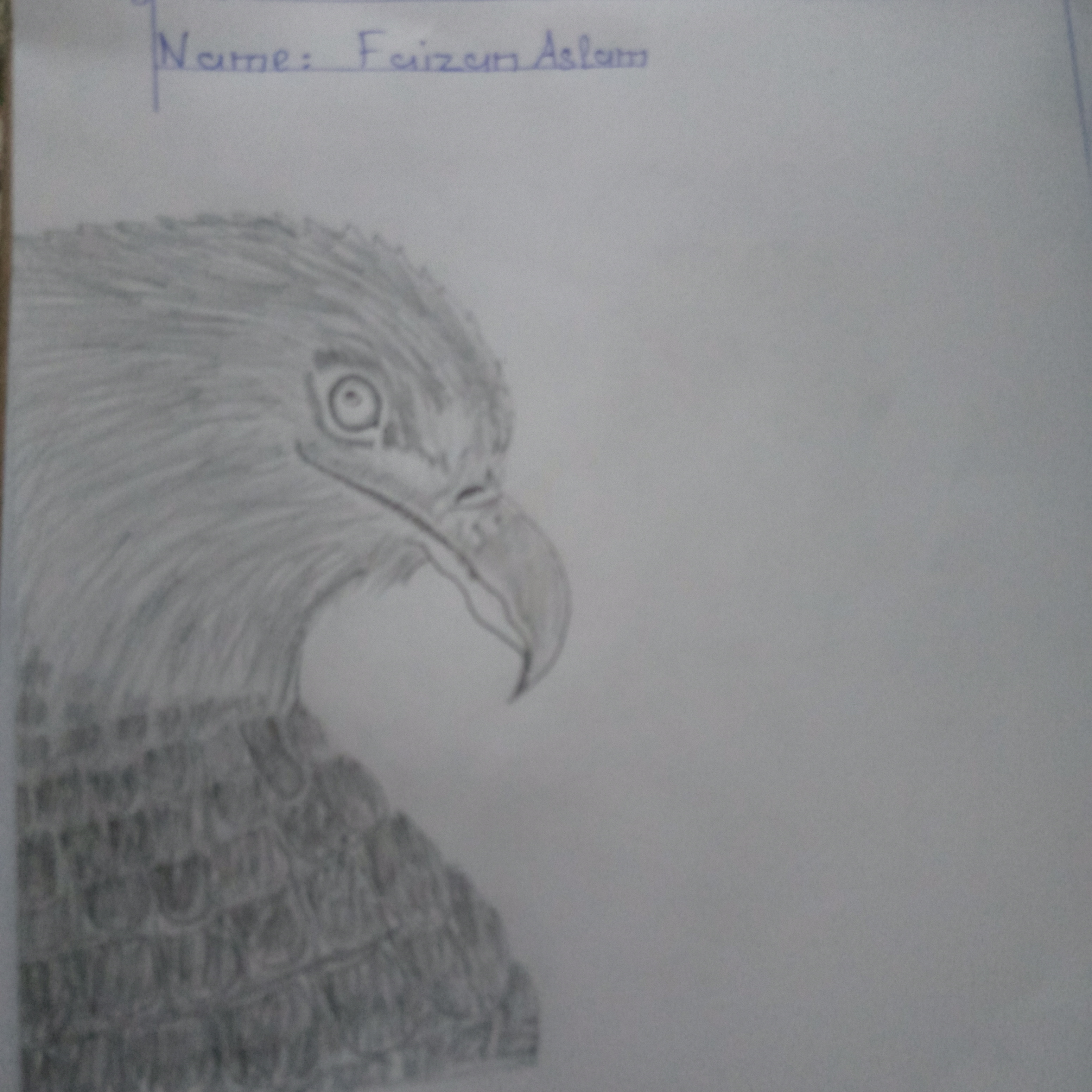 Drawing 5